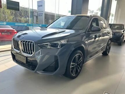 2023 BMW X1 for sale 842090 | Eauto Export