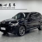 2023 BMW X3 for sale 846594 | Eauto Export