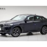 2023 BMW X4 for sale 841131 | Eauto Export