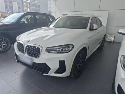 2023 BMW X4 for sale 849792 | Eauto Export