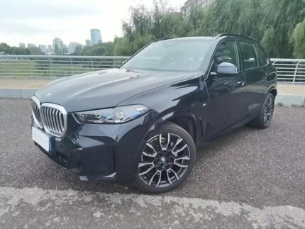 2023 BMW X5 for sale 844589 | Eauto Export