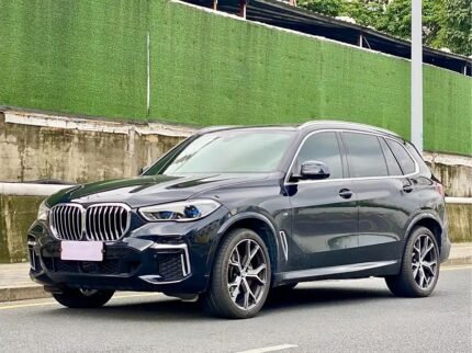 2023 BMW X5 for sale 848210 | Eauto Export