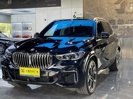 2023 BMW X5 for sale 857524 | Eauto Export