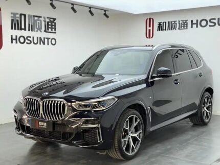 2023 BMW X5 for sale 863225 | Eauto Export