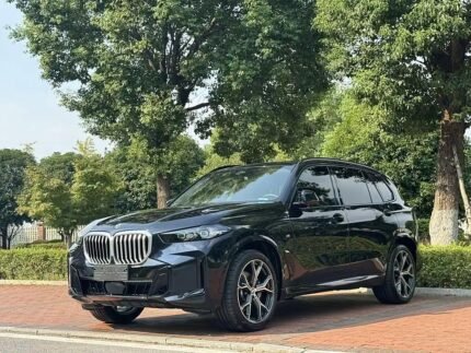 2023 BMW X5 for sale 865741 | Eauto Export