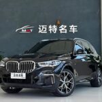 2023 BMW X5 for sale 869236 | Eauto Export
