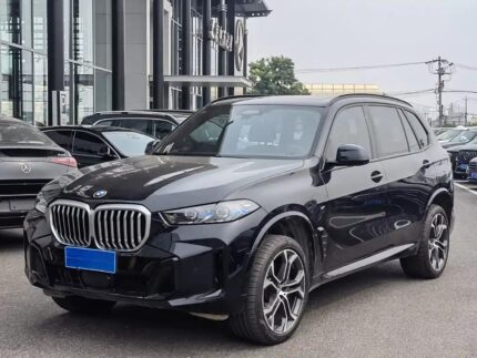 2023 BMW X5 for sale 869352 | Eauto Export