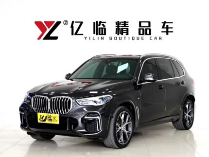 2023 BMW X5 for sale 869904 | Eauto Export