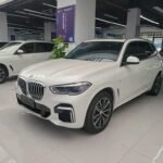 2023 BMW X5 for sale 871176 | Eauto Export