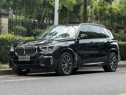 2023 BMW X5 for sale 873186 | Eauto Export