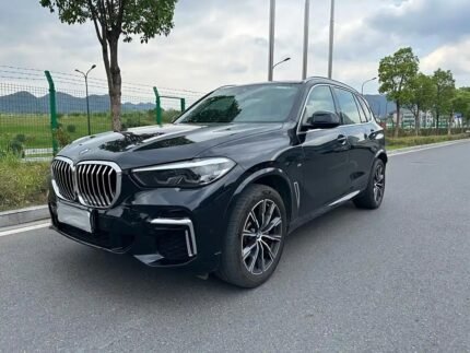 2023 BMW X5 for sale 877763 | Eauto Export