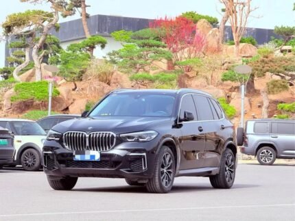 2023 BMW X5 for sale 909392 | Eauto Export