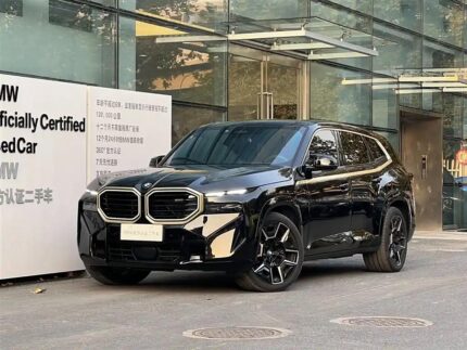 2023 BMW XM for sale 839460 | Eauto Export
