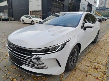 2023 BYD Destroyer 05 Full Option - Top 10 Chinese EVs