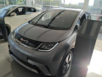 2023 BYD Dolphin Battery - Elite Top 3 Chinese EV Companies