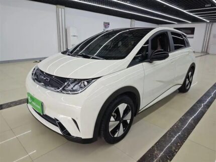 2023 BYD Dolphin for sale 913376 | Eauto Export