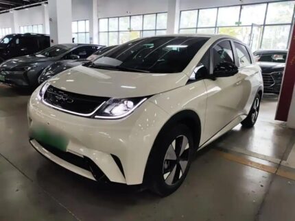 2023 BYD Dolphin for sale 913402 | Eauto Export