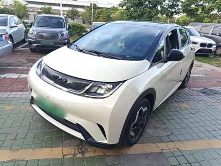 2023 BYD Dolphin Pink - Best Chinese EV Companies