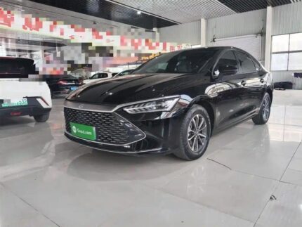2023 BYD Qin Plus Accessories - Best Chinese EV Company