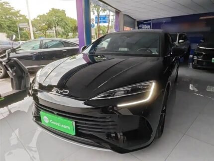 2023 BYD Sealion 5 - Famous Chinese Electric Car Name