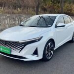 2023 Changan Raeton Plus Among EV Chinese Cars: Export Ready