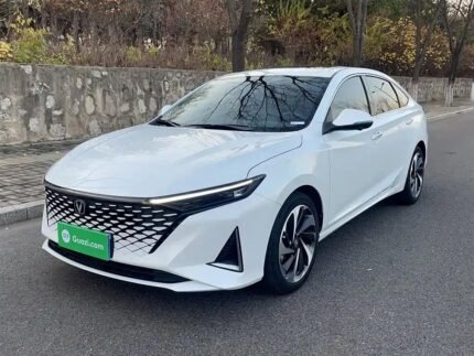 2023 Changan Raeton Plus Among EV Chinese Cars: Export Ready