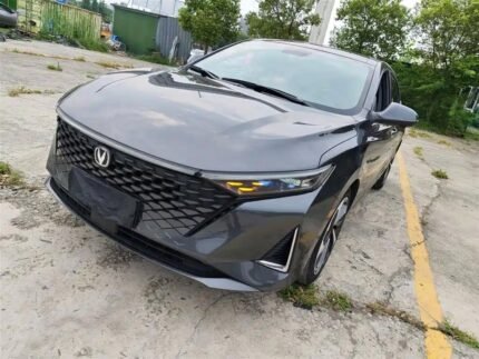 2023 Changan Raeton Plus: Elite Best Chinese EV Cars