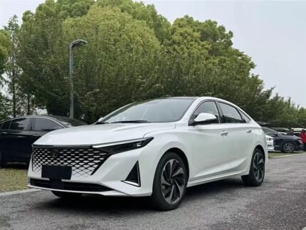 2023 Changan Raeton Plus for sale 837993 | Eauto Export