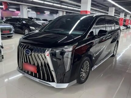 2023 GAC Trumpchi M8 Test Drive - Chinese Used Car App