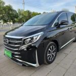 2023 GAC Trumpchi Trumpchi M8 for sale 922037 | Eauto Export
