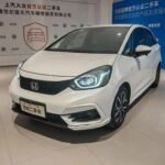2023 Honda LIFE for sale 911677 | Eauto Export