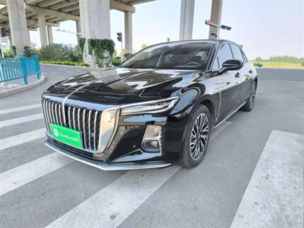 2023 Hongqi H5 for sale 922881 | Eauto Export