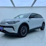 2023 Leapmotor C11 for sale 925450 | Eauto Export