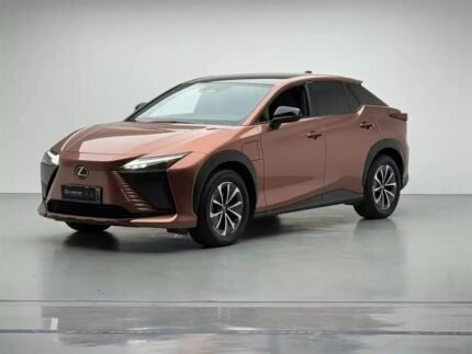 2023 Lexus RZ - Premium China EV Used Car Export