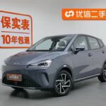 2023 Neta AYA for sale 840220 | Eauto Export