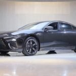 2023 Neta S for sale 869479 | Eauto Export