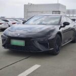 2023 Neta S for sale 926627 | Eauto Export
