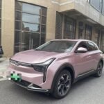 2023 Neta U for sale 873068 | Eauto Export