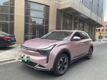 2023 Neta U for sale 873068 | Eauto Export