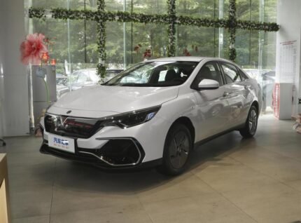 2023 Nissan Venucia D60 for sale 649875 | Eauto Export