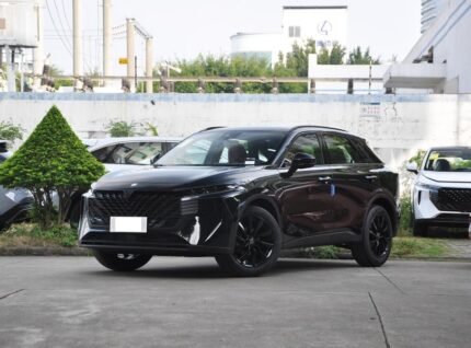 2023 Nissan Venucia V-Online for sale 649884 | Eauto Export