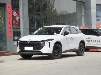2023 Nissan Venucia V-Online for sale 649885 | Eauto Export