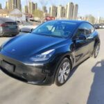 2023 Tesla Model Y for sale 929465 | Eauto Export