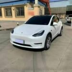 2023 Tesla Model Y for sale 929486 | Eauto Export