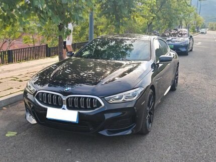 2024 BMW 8 Series for sale 850967 | Eauto Export