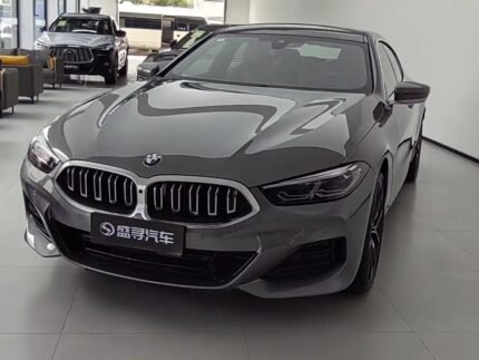 2024 BMW 8 Series for sale 856098 | Eauto Export