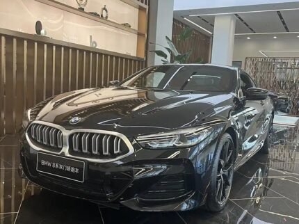 2024 BMW 8 Series for sale 866799 | Eauto Export
