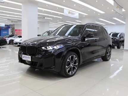 2024 BMW X5 for sale 852395 | Eauto Export
