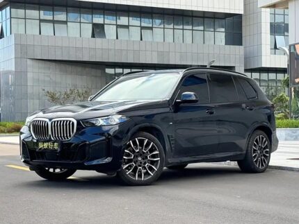 2024 BMW X5 for sale 866494 | Eauto Export
