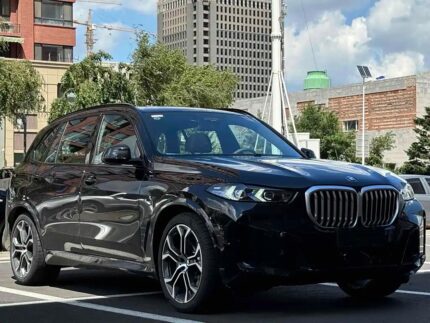 2024 BMW X5 for sale 869246 | Eauto Export
